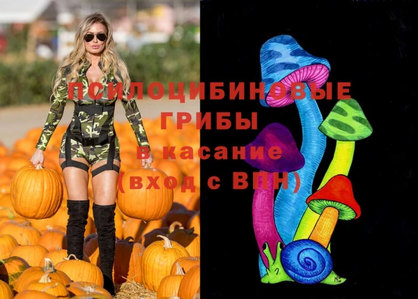 каннабис Богородицк