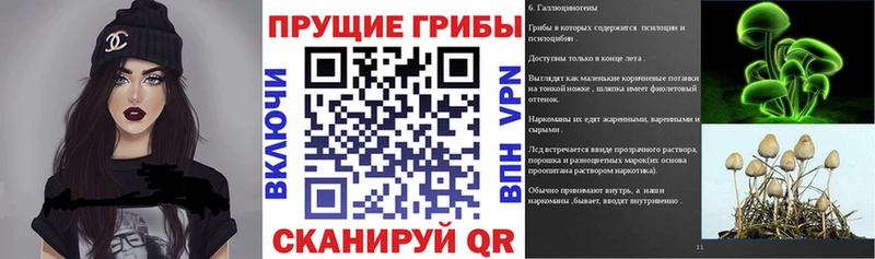 Галлюциногенные грибы ЛСД  MEGA сайт  Хабаровск 